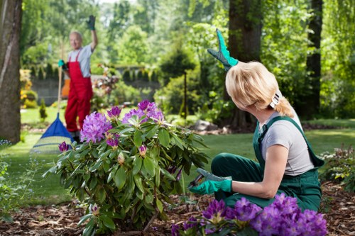 Gardener trimming a suburban hedge in Teddington