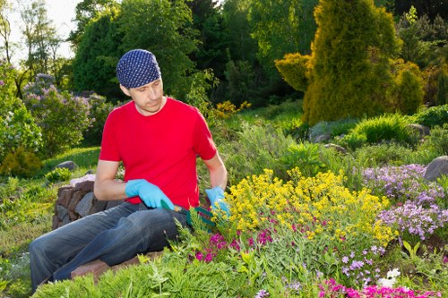 Worker consulting a homeowner while reviewing accessible service options for hedge trimming