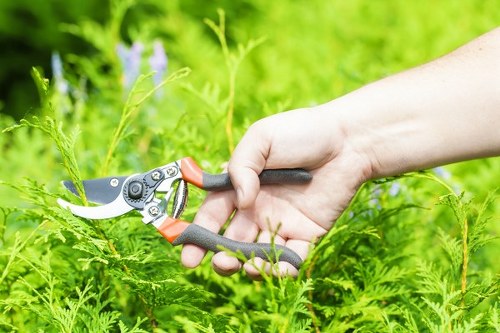 Professional garden design services in Teddington
